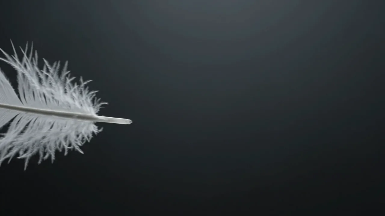 Pluma blanca flotante — Pluma blanca flotante cobra vida como una animación surrealista y silenciosa para las cajas y el escritorio.