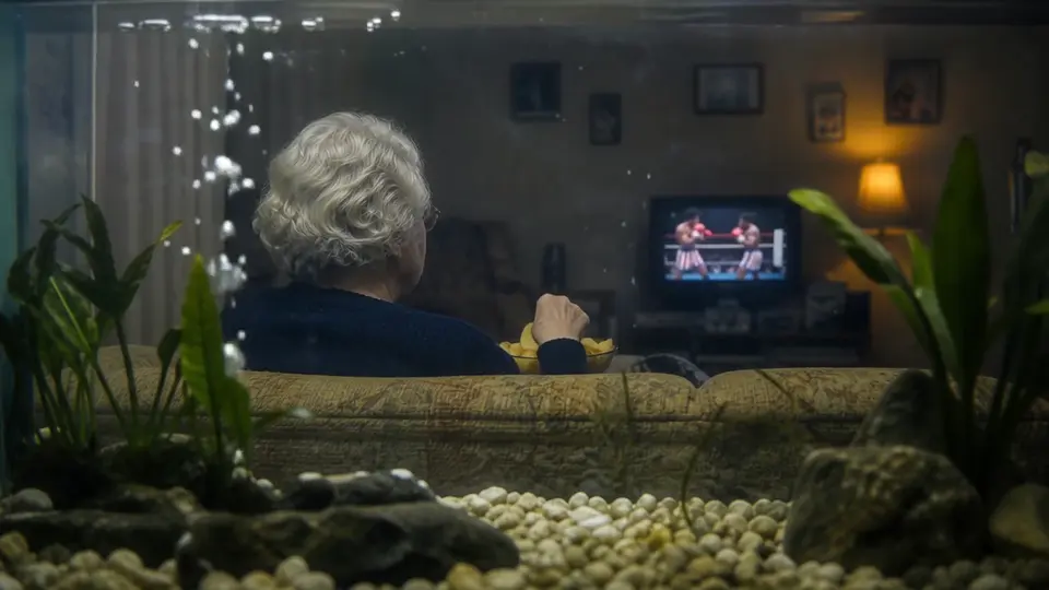 Vista a través de un acuario, una mujer come patatas fritas mientras ve la televisión.