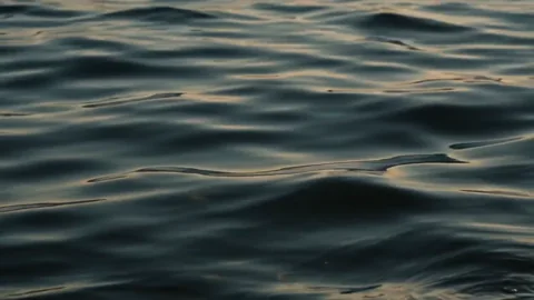 Serenidad líquida 1. Ondas líquidas lentas y brillantes crean una superficie profundamente serena.